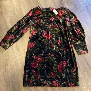 Ann Taylor velvet dress womens size 10